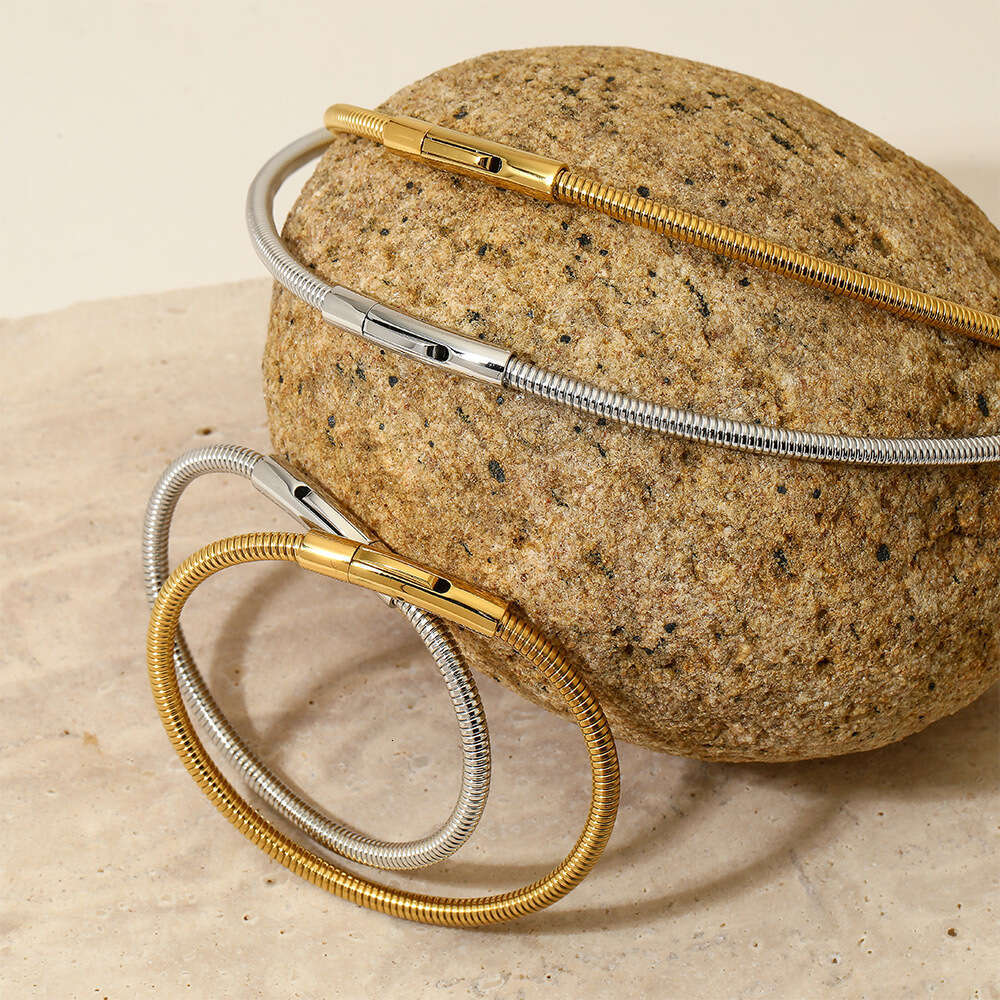 Stainless Snake Bone Chain Steel Wire Rope Bracelet Designer Set Ins Simple Electric Coil Necklace Jewelry