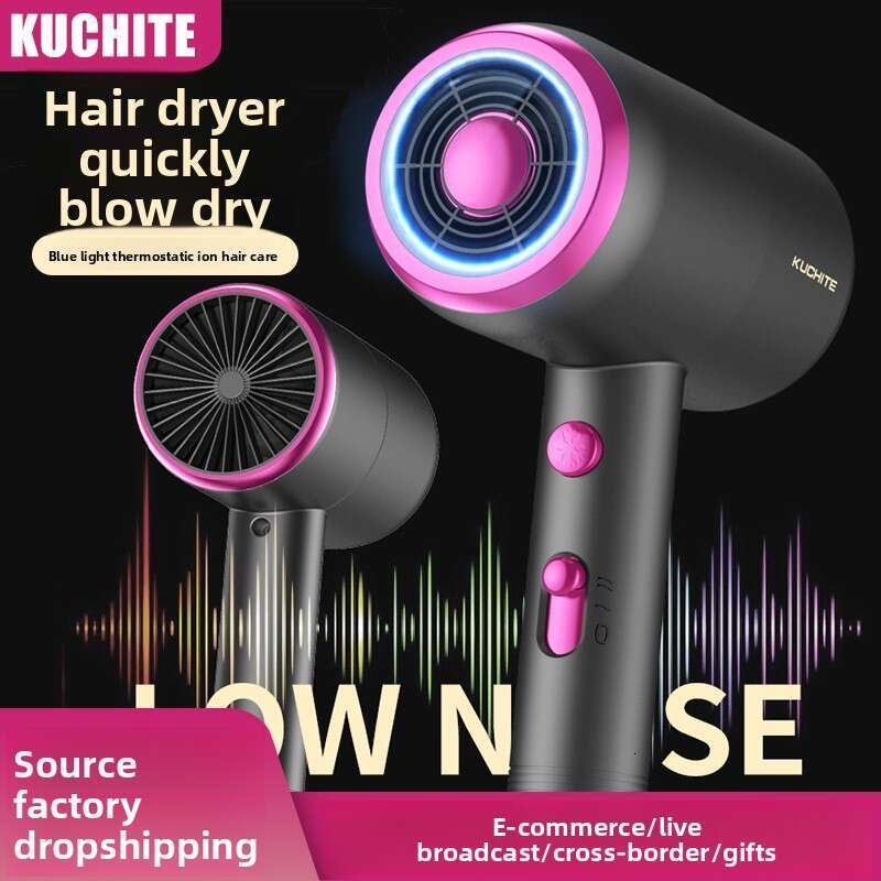 Concentrator Design High Power Barber Shop Salon Home Electric Hair Dryer Gift Aromatherapy