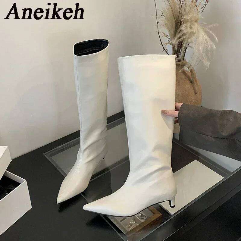 Aneikeh New Brown Kitten Heels Women Modern Female Shoes 2026 Fashion Pointed Toe Ladies Long Knee Western Boots