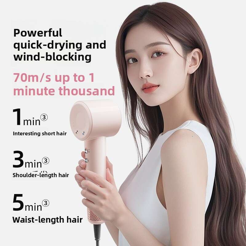 Negative Ion High-Speed Home Portable Powerful Quick-Dry Silent Care Hair Dryer
