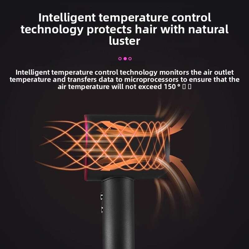 Exclusive Model Leafless High-Speed Care High-Power Hair Dryer
