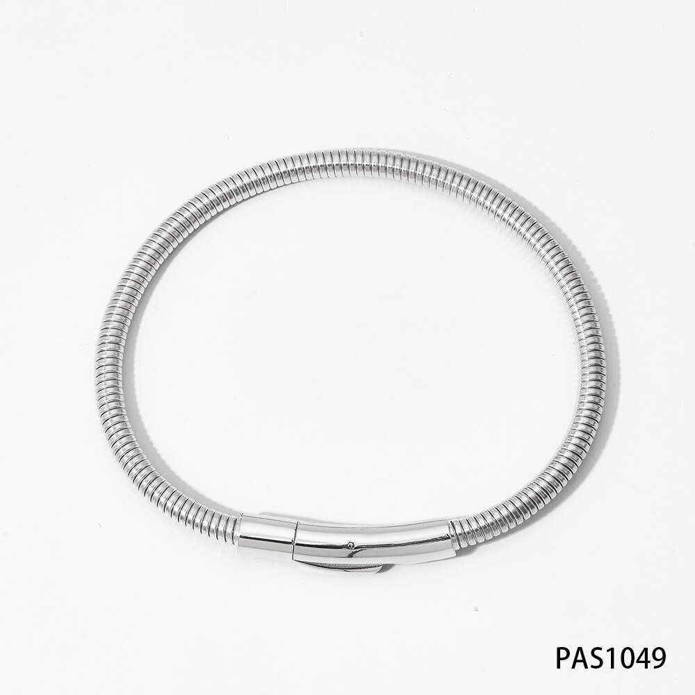 Stainless Snake Bone Chain Steel Wire Rope Bracelet Designer Set Ins Simple Electric Coil Necklace Jewelry
