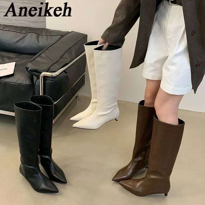 Aneikeh New Brown Kitten Heels Women Modern Female Shoes 2026 Fashion Pointed Toe Ladies Long Knee Western Boots