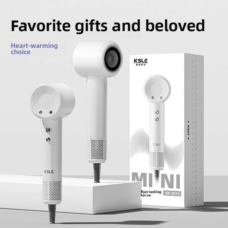 Negative Ion High-Speed Home Portable Powerful Quick-Dry Silent Care Hair Dryer