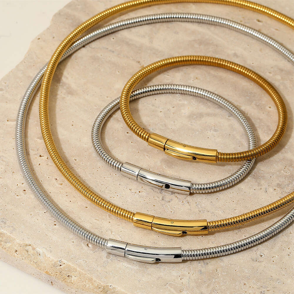 Stainless Snake Bone Chain Steel Wire Rope Bracelet Designer Set Ins Simple Electric Coil Necklace Jewelry