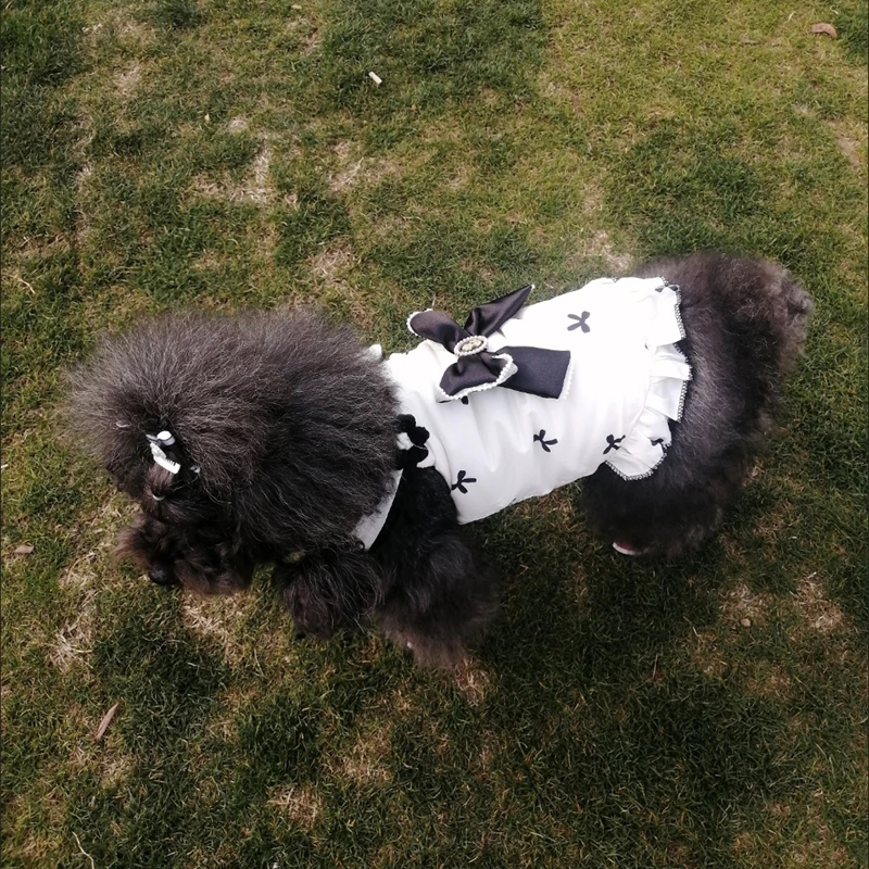 Luxury Dog Dresses with Pearl Bow, Designer Original, Thick Warm Cotton Lined Dog T-shirt, Exquisite Autumn Winter Dog Clothes for Teacup, Pomeranian 