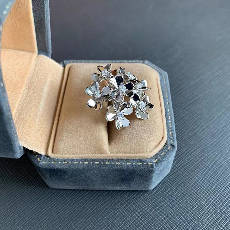 A Designer Lady's European And American Style Women's Ring An Outdoor Light Luxury Individual And Fashionable Ring High-end Texture Jewelry 