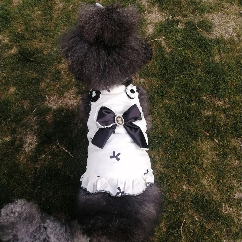 Luxury Dog Dresses with Pearl Bow, Designer Original, Thick Warm Cotton Lined Dog T-shirt, Exquisite Autumn Winter Dog Clothes for Teacup, Pomeranian 