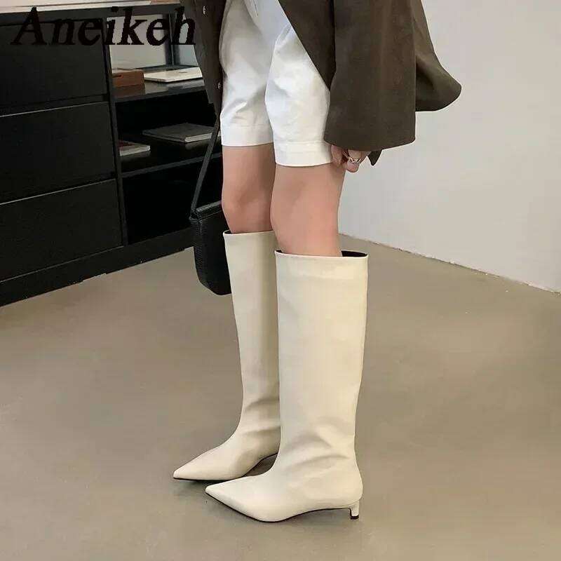 Aneikeh New Brown Kitten Heels Women Modern Female Shoes 2026 Fashion Pointed Toe Ladies Long Knee Western Boots