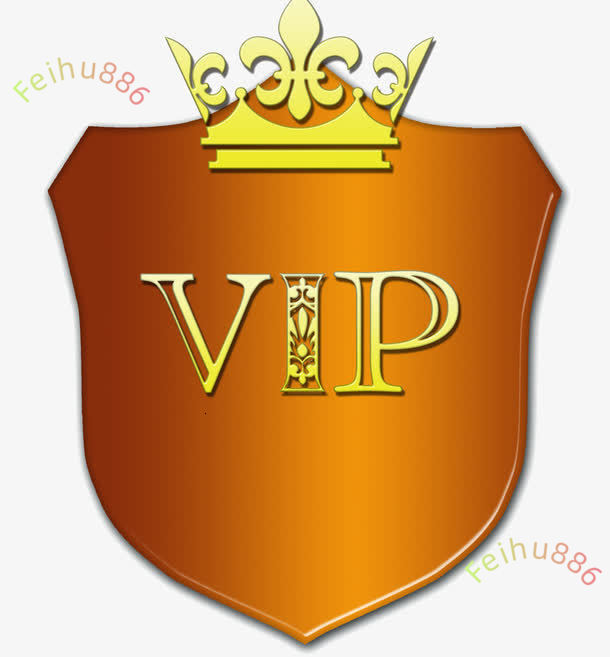 Fashion High Quality Jewelry VIP Pay Link ( The link is only for the VIP customers to custom products)