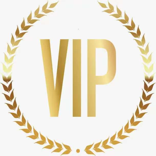 Fashion High Quality Jewelry VIP Pay Link ( The link is only for the VIP customers to custom products)