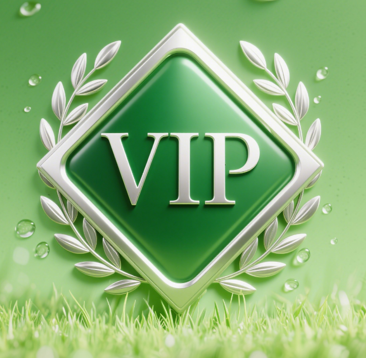 VIP Customer Customized Payment Link for Exclusive Services