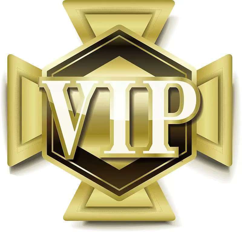 Fashion High Quality Jewelry VIP Pay Link ( The link is only for the VIP customers to custom products)