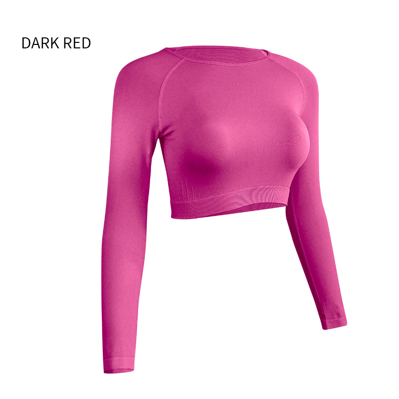 Long Sleeve Sports Crop Top Women Gym Workout Wear Fitness Top Running Quick Dry Yoga Clothing Complete styles and good quality