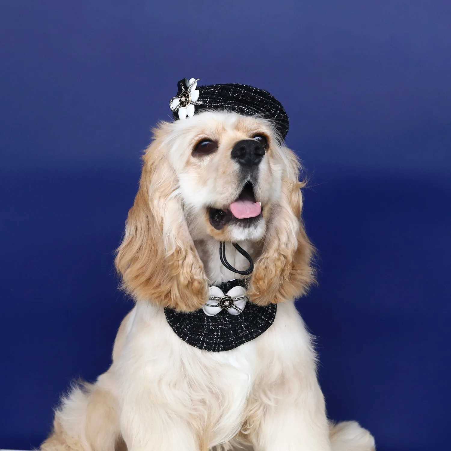 Designer Knitted Woolen Flower Bud Hat Bow Lace Bib Pet Cat Dog Accessory Set Dog Bandana Pet Accessories Dog Accessories Z250822