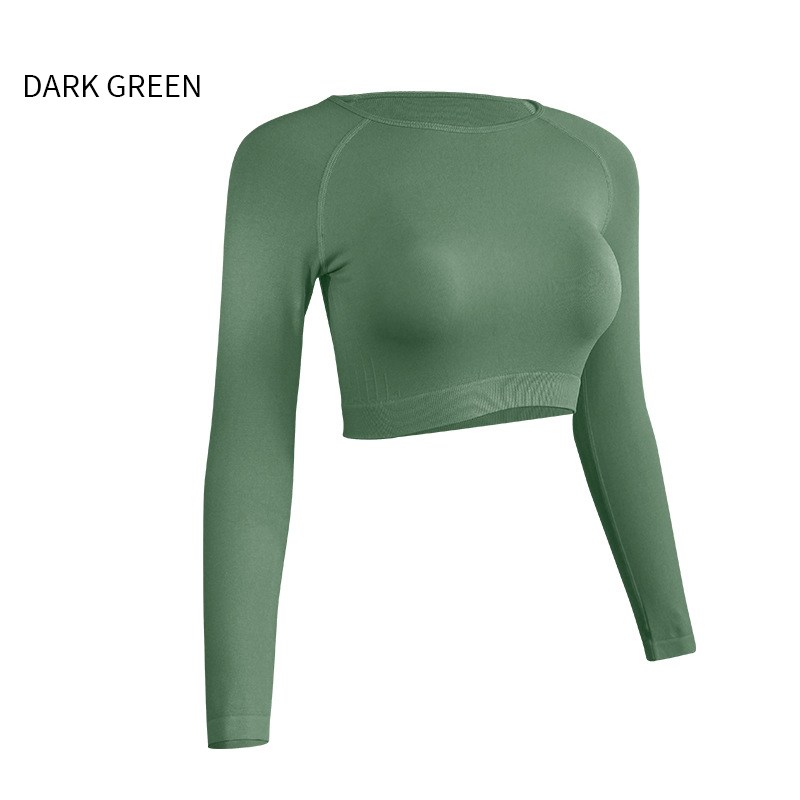 Long Sleeve Sports Crop Top Women Gym Workout Wear Fitness Top Running Quick Dry Yoga Clothing Complete styles and good quality