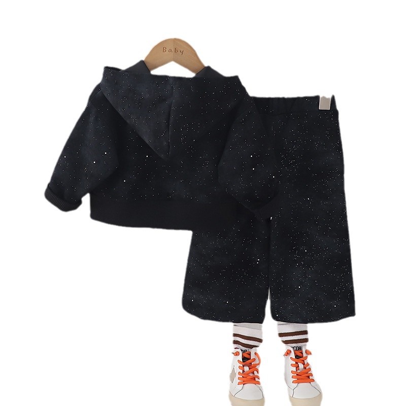2025 New Girls' Spring Outfit Set Fashionable Long Sleeve Two Piece Baby Toddler Trendy Spring Autumn Clothes