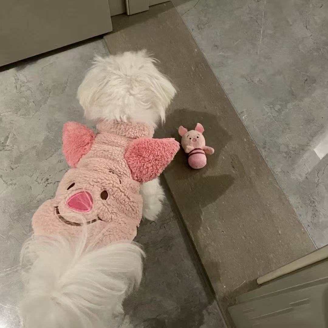 T1006 New autumn and winter pet dog clothes pig elephant transformation clothes cotton clothes thickened Teddy Bichon Yorkshire Terrier clothes