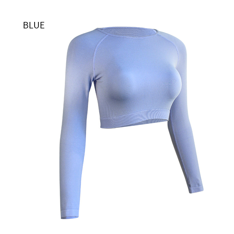 Long Sleeve Sports Crop Top Women Gym Workout Wear Fitness Top Running Quick Dry Yoga Clothing Complete styles and good quality