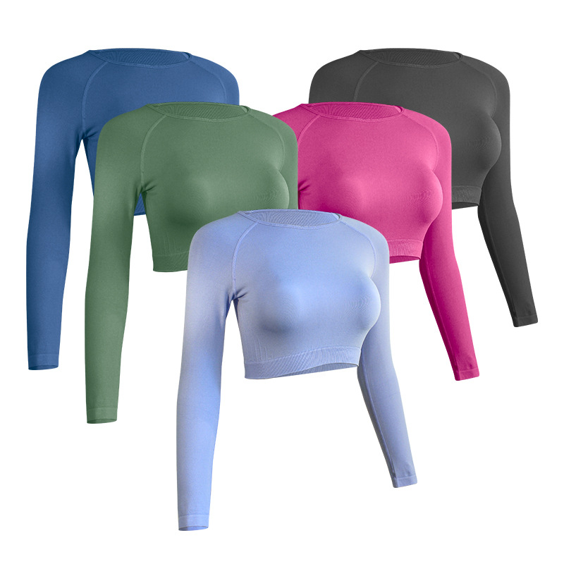 Long Sleeve Sports Crop Top Women Gym Workout Wear Fitness Top Running Quick Dry Yoga Clothing Complete styles and good quality