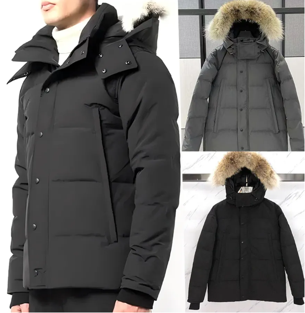 Mens Winter Jacket … - image