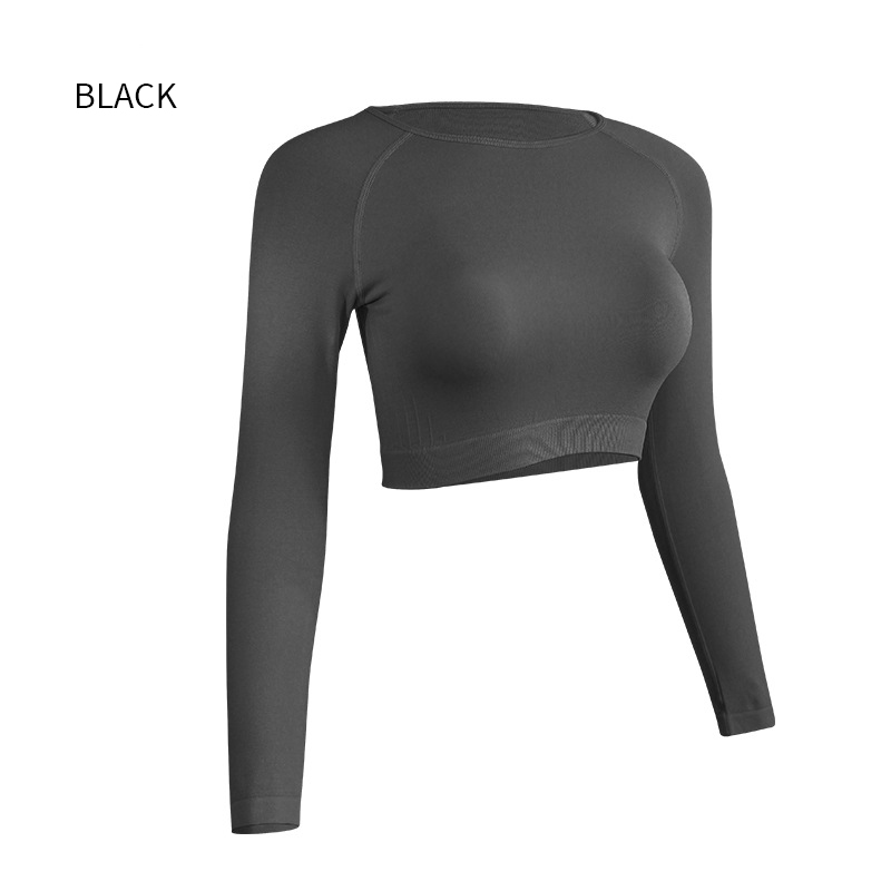Long Sleeve Sports Crop Top Women Gym Workout Wear Fitness Top Running Quick Dry Yoga Clothing Complete styles and good quality