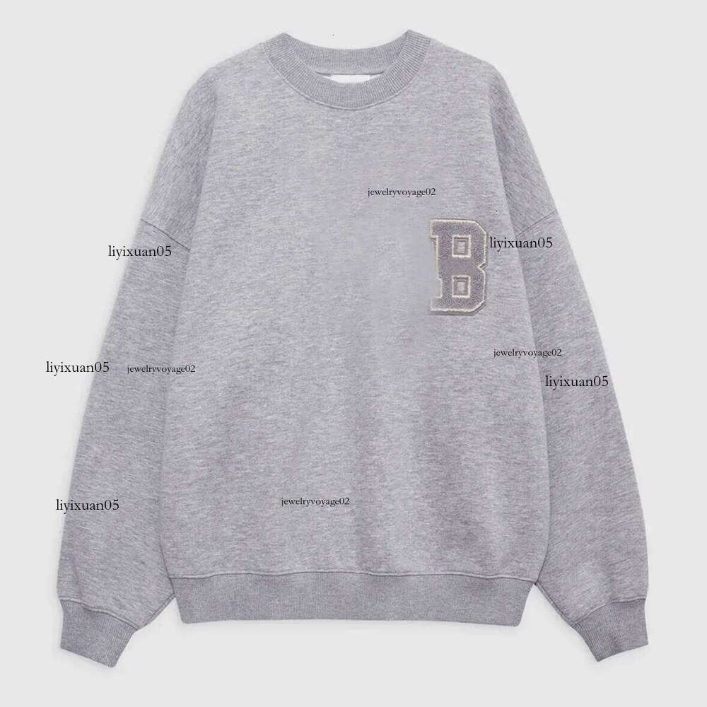 Ab Hoodies Designer Hoodie Letters Embroidery Design Sweatshirts Sport Classic Pure Pullover Jumper Casual Sweater Women Aninely Bingly Hoodies D2e