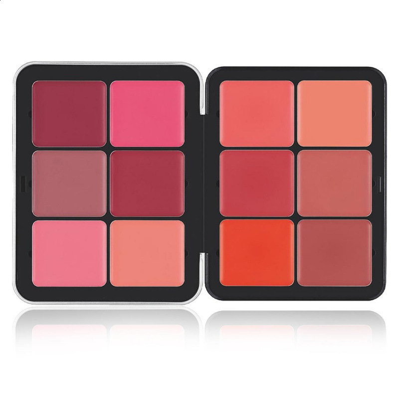 12 Color Blush Concealer Set Natural Blemish Highlighter 16 Color Waterproof face contour cream palette custom 240627