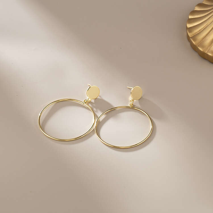 womens jewlery earrings for women stud earrings luxury classic earrings woman jewelry earring optional