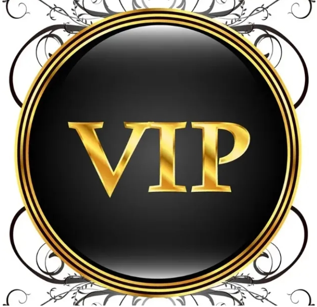 the VIP payment link designer casual shoes sneakers discount bag styles567 sfdsaf