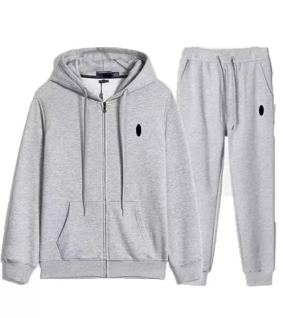 2024 new Mens Sportswear Track Suit Sportsman Sweatshirt And Joggers Set Pants big horse polo Hombre Pullover Hoodie Trouser Advanced Design fjwq