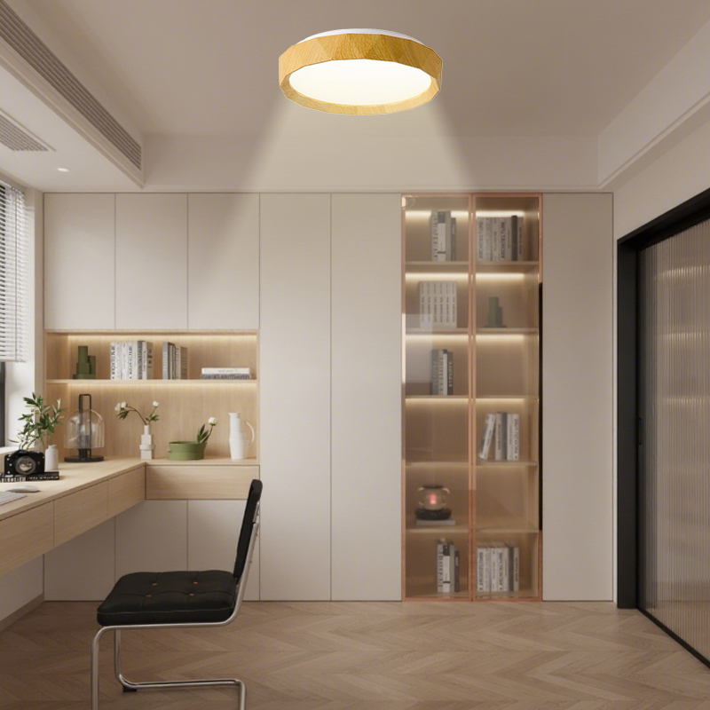 12 inches Sleek Modern Flush Mount Ceiling Light - Brightness & Color Temperature Adjustment for Bedrooms