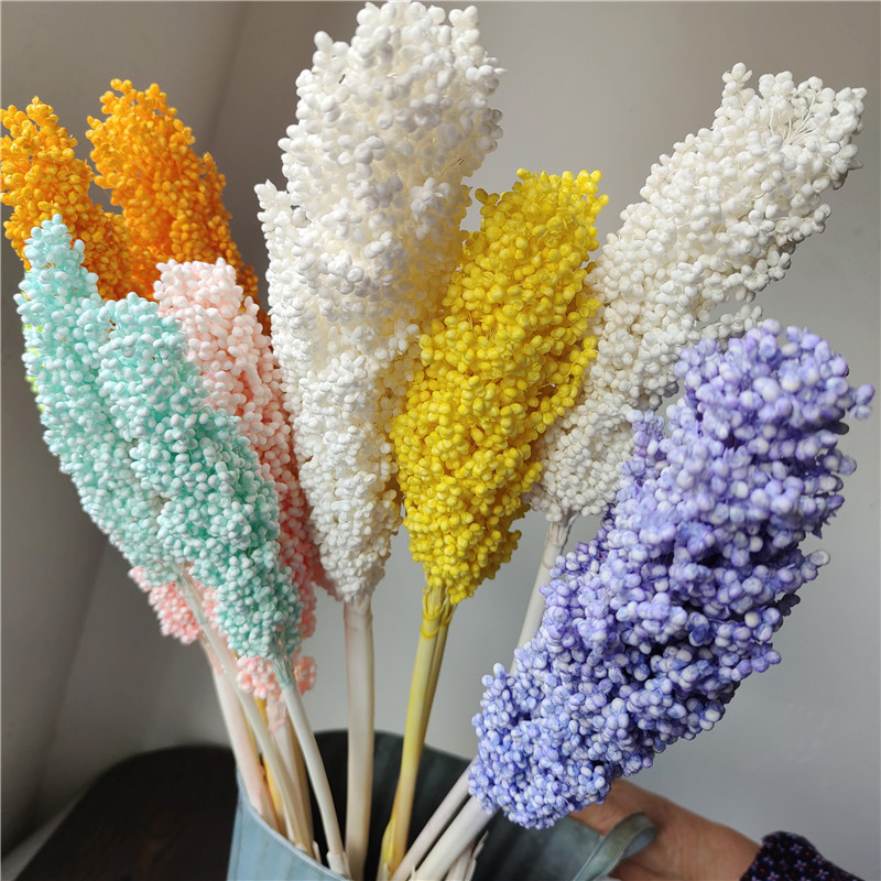 2-3 Stems Real Dried Sorghum Dried Flower Bouquets for Centerpiece Table Modern Home Living Room Decoration DIY Floral Arrangements for Wedding Centerpieces