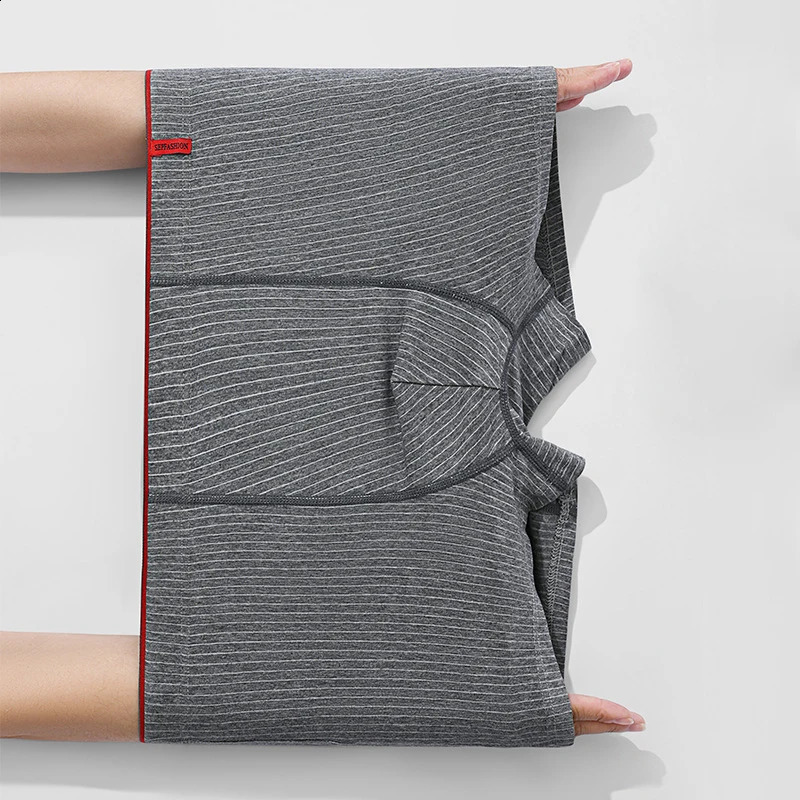 4 Pcs/Lot Boxer Men's Sexy Stripe Panties Underwear Sexy Knickers Underpants Shorts Fashion Under Wear Lingerie Boxers Briefs 250823