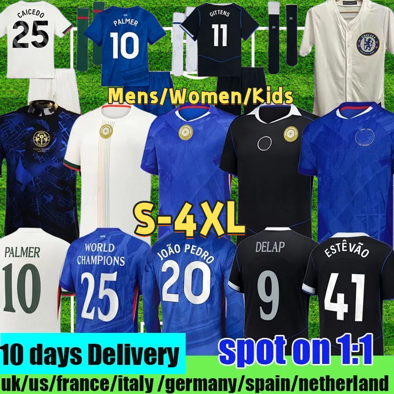 2025 2026 chelseaes fc soccer jerseys CFC PALMER MADUEKE ENZO SANCHO MUDRYK NKUNKU chelseaa football shirts Limited-Edition Snake Pre-Match Shirt Home Away Third Kid