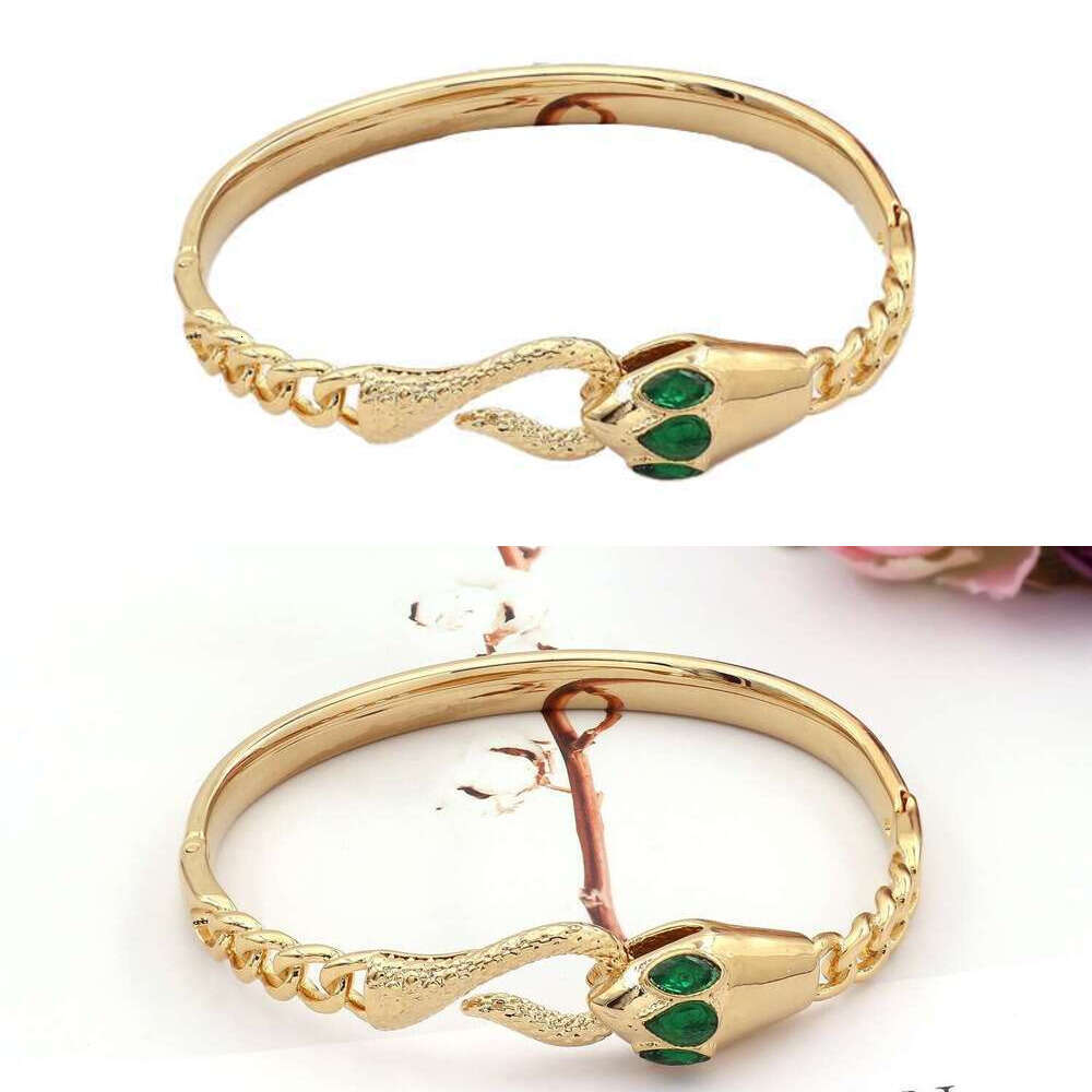 Luxury Bangle Jewelry Jewellery Gold Plated Gift for Women Snake-shaped bracelet with titanium steel personalized