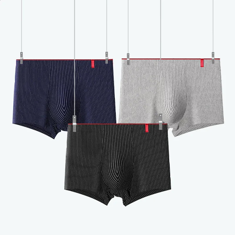 4 Pcs/Lot Boxer Men's Sexy Stripe Panties Underwear Sexy Knickers Underpants Shorts Fashion Under Wear Lingerie Boxers Briefs 250823