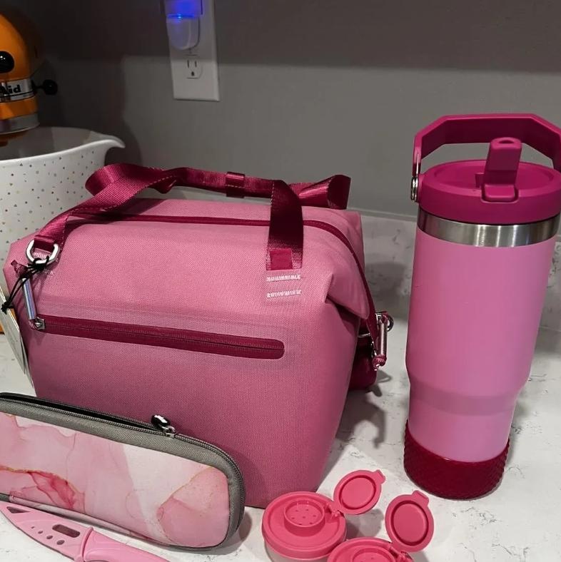 US Stock All Day Julienne Mini Soft Lunch Bag Box Recycled Polyester 10 Can Travel Cooler Bags Black Pink With Crossbody Strap 0825