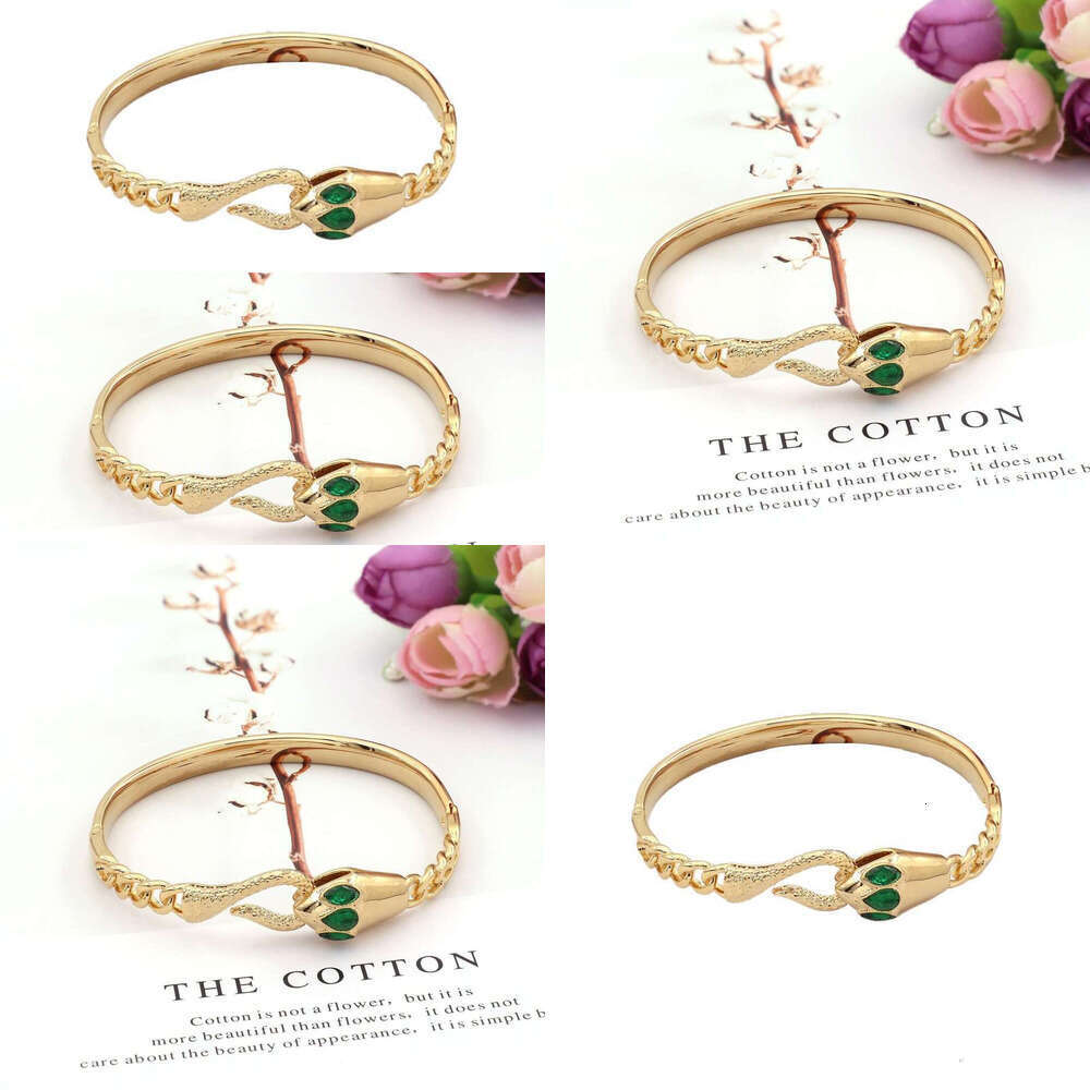 Luxury Bangle Jewelry Jewellery Gold Plated Gift for Women Snake-shaped bracelet with titanium steel personalized
