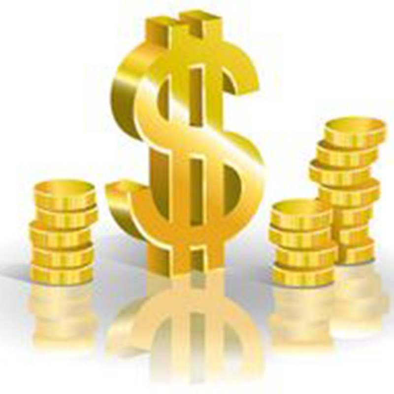 Fast link for customers to pay for extra price such as shoes box shoeslaces DHL EMS extra fee in discountboost online store Not Sold Separately