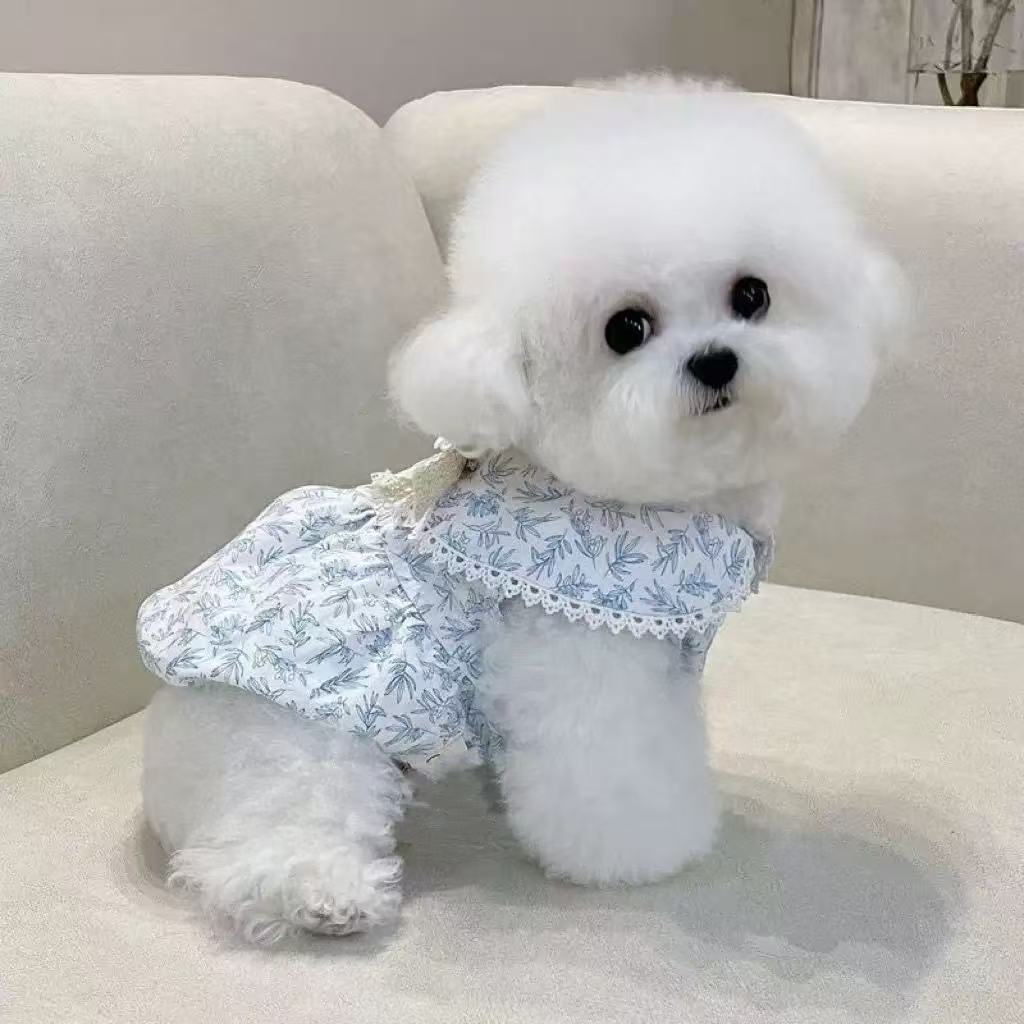 T1042 Dog Clothes Summer Thin Style with Pull-on Buckle French Floral Fairy Skirt New Pet Bichon Teddy Cat