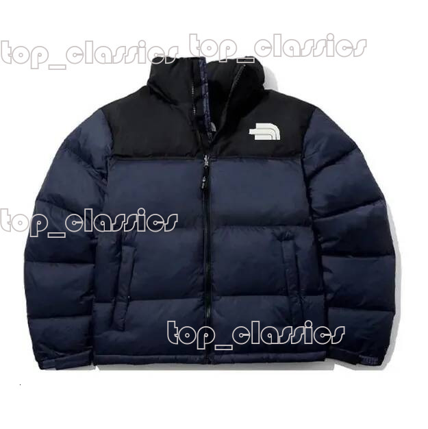 Face Jacket Womens Designer Mens Down Coat Peak Purple RED VIOLET Femme Zipper Outwears Northen Jacket NF 700 Parka Windbreaker Jackets 8f4