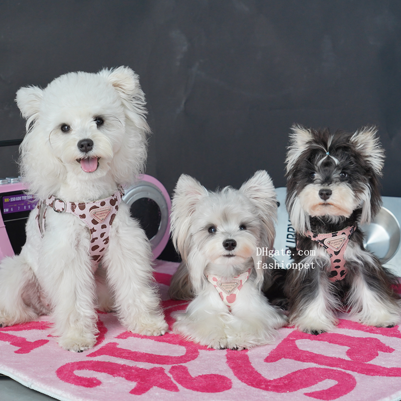 Lucky Designer Dogs Harness No Pull xs Dog Harness with Multifunction Dog Leash,Soft Adjustable No Choke Escape Proof Pet Harness Vest, Pink Leopard P