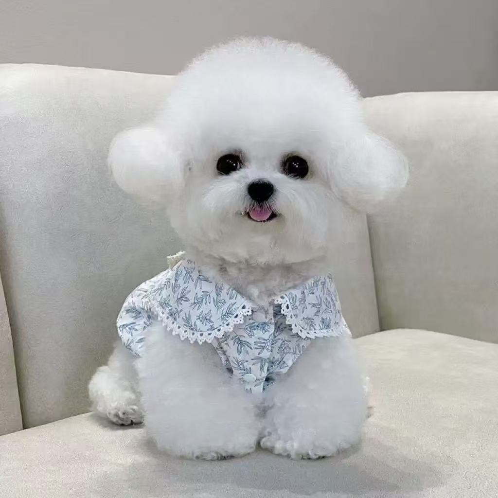 T1042 Dog Clothes Summer Thin Style with Pull-on Buckle French Floral Fairy Skirt New Pet Bichon Teddy Cat