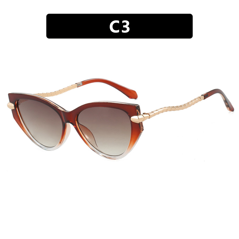 2025 Trendy Chain Cat Eye Sunglasses for Women Stylish Retro Over sized Sun Glasses with UV Protection