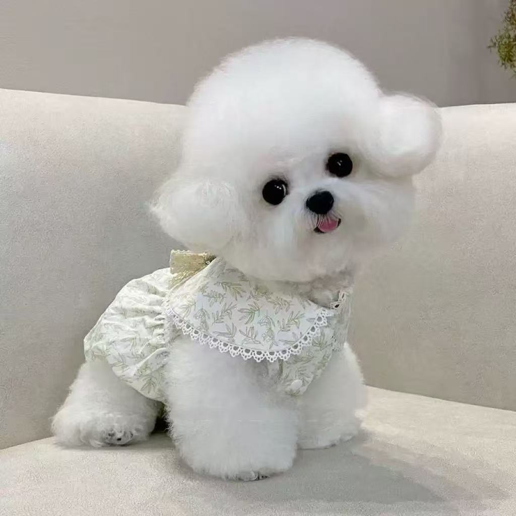 T1042 Dog Clothes Summer Thin Style with Pull-on Buckle French Floral Fairy Skirt New Pet Bichon Teddy Cat