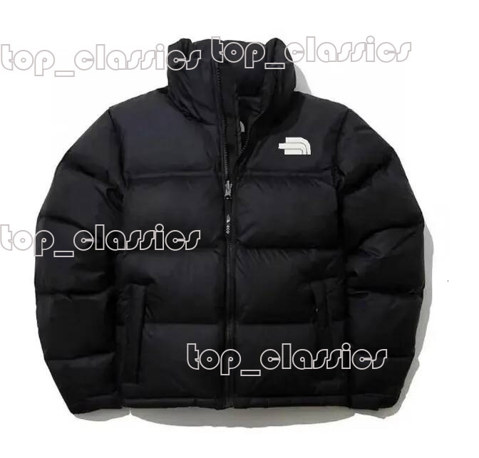 Face Jacket Womens Designer Mens Down Coat Peak Purple RED VIOLET Femme Zipper Outwears Northen Jacket NF 700 Parka Windbreaker Jackets 77c