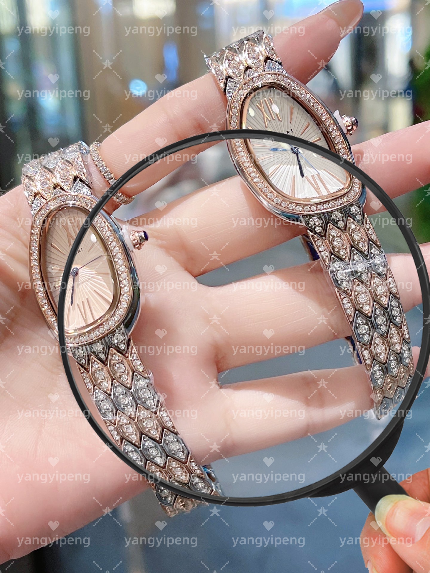 snake watch Brand Snakehead Full Diamond Classic Diamond Double Ring Versatile Quartz watch women designer YYP02