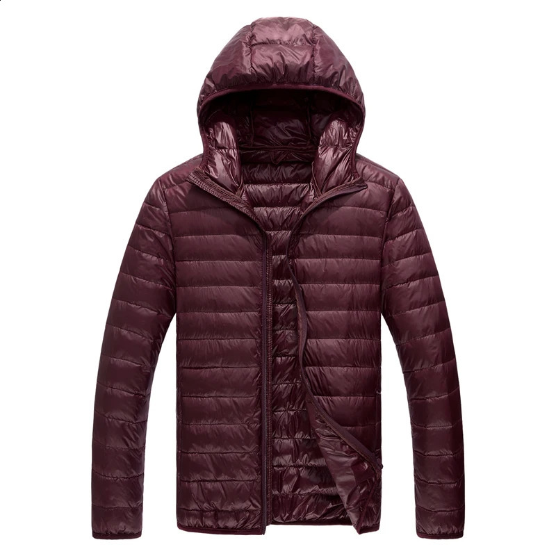 Lightweight Warm Coat Mens Winter Parkas Jacket Royal Blue Black Gray Red Green Male Light and Thin Coats 250918