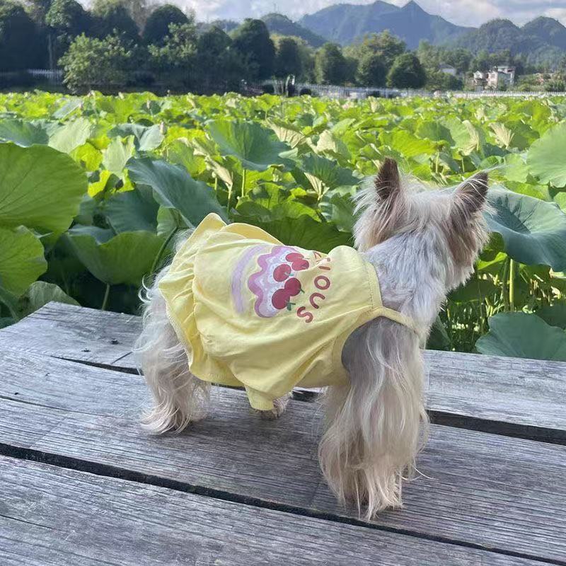 T1052 Pet clothes spring and summer models for dogs and cats, small dogs, printed suspenders, pumpkin skirts, Yorkshire terriers and Maltese clothes